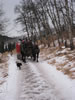 IMG 0088
